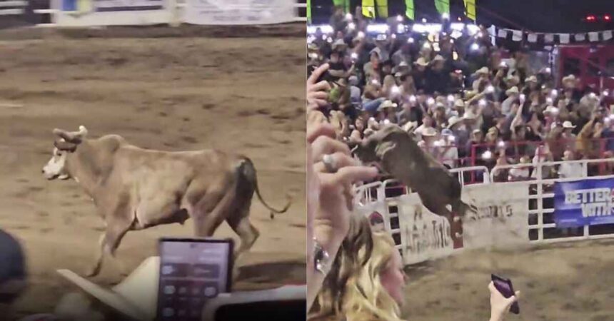 Oregon rodeo incident, Sisters Rodeo